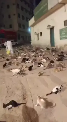 #بعد هدد مسفله طلعت البساس 