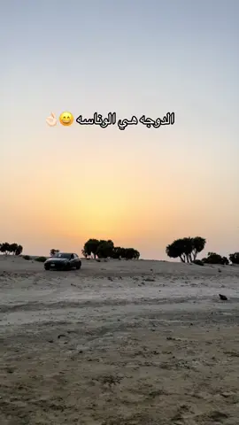 #اي والله ان الدوجه فيها البركه #