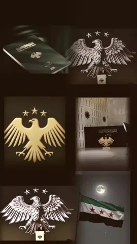 #هوية بصرية جديدة تليق بفخامة الشعب السوري  وتقدر تضحياته وتاريخه وتنوعه وثقافته  هوية بصرية افتخر واعتز بها  بارك الله بجهود كل من ساهم لانجاز هذه الهوية
