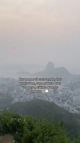 ✨ #foryuoupage #vaiprofycaramba #viral #foryoupage 