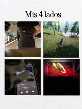 Lit yo 👾 #mis4lados #anime #cocina #musica #videojuegos #cod #codmobile #musi #chef #demonslayer #fyp 