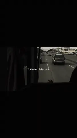 #اكسبلورexplore #اكسبلور؟ #القطيف #explore 