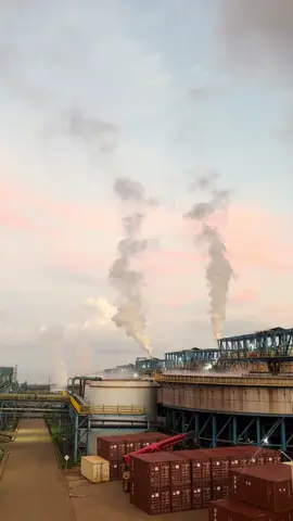 Spil Caption #storytambang #kulitambang #fyp #haritagroup 