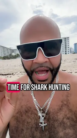 🤣😭🤣😭 🦈 @Matt Pennell #sharkweek #miamibeach #sharkattack #miami #sobe 