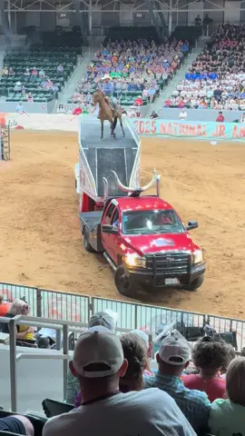 #tulsa #horses #fyp #crazy #fypシ 