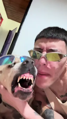 AMOR 🧡 Y RABIA 😡 en un solo video 😂🩷 • • • • • • • • • • #argentina #perrostiktokers #funny #rap #viralvideos #😂 #😂😂😂 #videosvirales #musica #beats #loveyou #pitbull #labrador #tik_tok #fypシ゚ #beatsdaisychallenge #comedia #comedyvideo 
