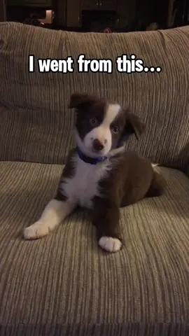 He was so smol 🥹