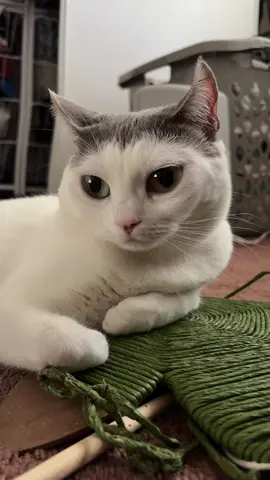 #judgingyou 