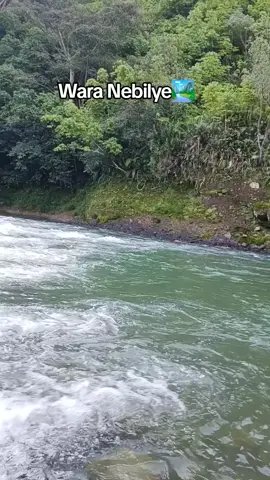 Wara Nebilye, Western Highlands Province 🏞  #fyp #viralpost2025 #highlightseveryonefollowers  #visitwhp #adventuretravel  #naturevibes #flowingriver