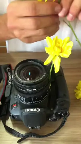 📸Uma dica simples que muitos fotógrafos não conhecem, mas que entrega um resultado incrível 😍🌻 . Já salva e comenta o que você achou dessa dica!!! . . #foto #fotografia #cursodefotografia #cursodefotografiaonline #mestrefotografo #ensaio #modelo #fotografoiniciante #dicas #aprendizado #flores 