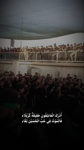 #سلام_عليك_يا_اباعبدالله_الحسين #fyp #سماوه_ولايتي #شعب_الصيني_ماله_حل😂😂 