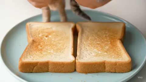 Toast Kittens #asmrsounds #candy #satisfying #yummy #fyp #watch #sweet #crunchyasmr #follow #toast #kitten #cozy #soft #food #space 