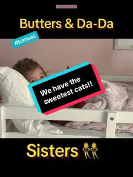 I’d love to see pictures of your family pets!!  Please post some in comments and where you are from! #cats #cat #cattok #catlover #catsoftiktok #catslovers #pets #familypet #animalsoftiktok #wichita #wichitakansas #kansas