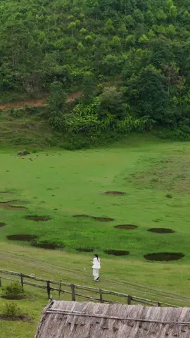 Thảo nguyên xanh ngát ở Măng Đen 🍃 #himangden #mangden #viral #vietnamtravel #xuhuong #foryou 