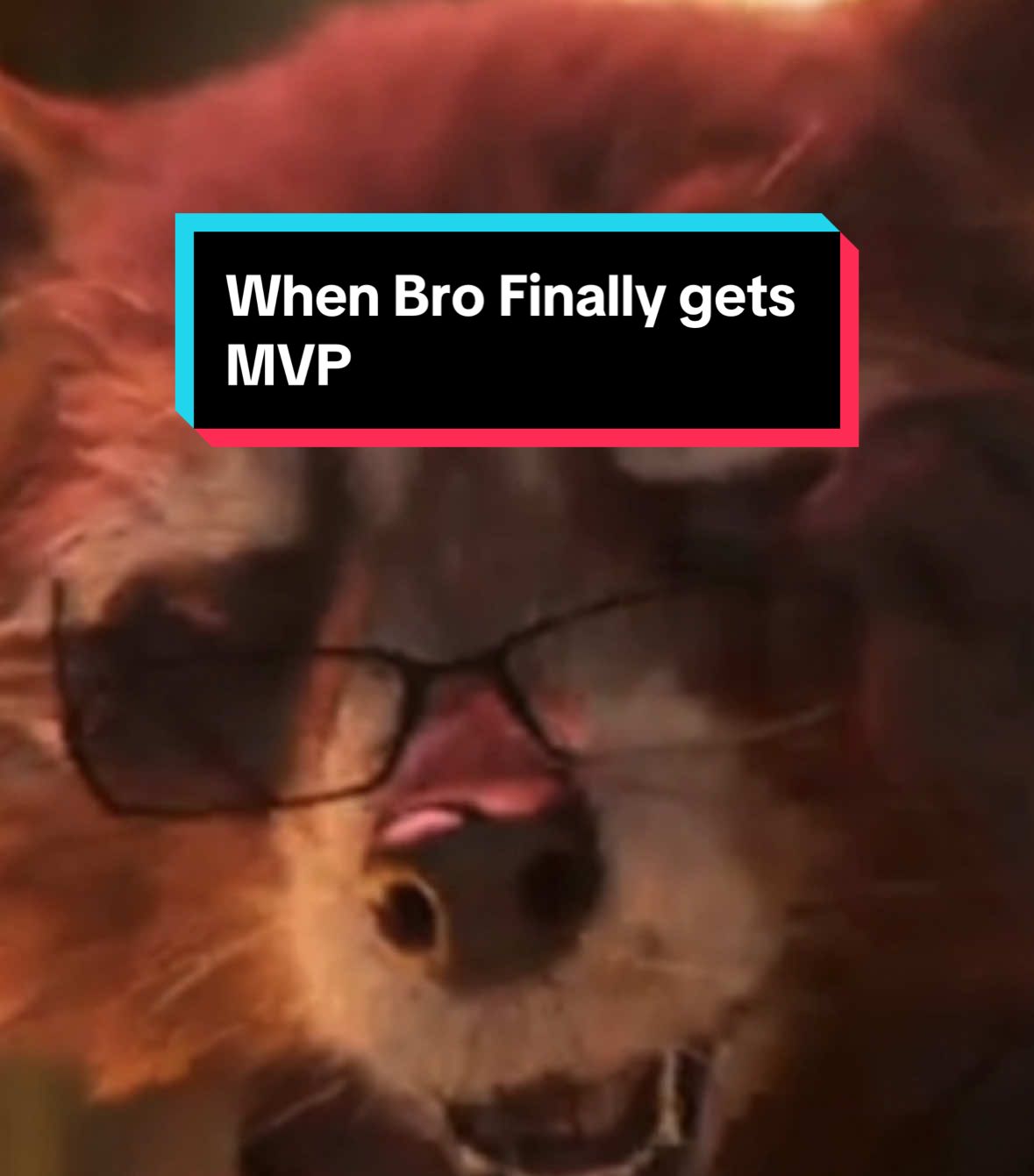 Congratulations Buddy! The gang and I are so proud of you … #CapCut #marvel #marvelrivals #marvelrivalsmeme #marvelrivalsmemes #marvelrivalsfunny #marvelrivalfyp #fyp #foryou #fypシ #funny #meme #groot #rocketraccoon #iamgroot #support #vanguard #tankmvp #mvp 