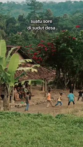 tahun 90an sore hari kaya gini. #suasanapedesaan #zamanold #jamandulu #nostalgia #anak90an #pedesaan #efyepe 