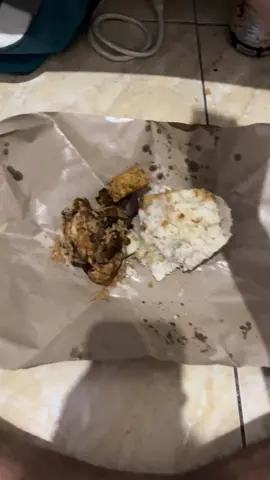 Otw beli whiskas #kucingtiktok #kucinglucu #catlover 