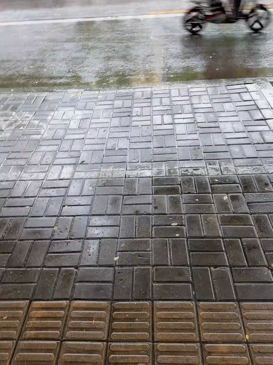 战马有点不高兴。。 #堂吉诃德 #下雨天 #堂吉柯德变奏