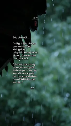 🪷 #phatphapnhiemmau #tongiao #thiensuthichnhathanh 