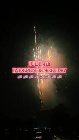 Independence Day 🇺🇸 #nyc #newyork #newyorkcity 