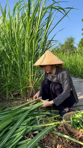Nói tới món lạ sau thiếu em được mọi người có ăn thử món cỏ voi bao giờ chưa , nay thử với em nha#NuocmamDaiNhat #TangmeDealDai #Barona
