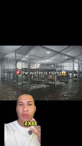 Alligator Alcatraz has flooded#fyp #fypシ #breakingnews #news #tiktok #viralvideo #viral #trending #alligator #mexican #truth #real#news 