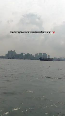 ইনশাআল্লাহ একদিন ঠকতে ঠকতে জিতে যাবো..❤️‍🩹 #opekkha869 