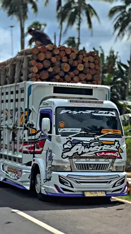 Sengaja gk d vdio ampe belakang🥶#trukmaniaindonesia 