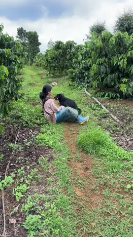 Nhạc Thái gái Tây … Nguyên  🤣