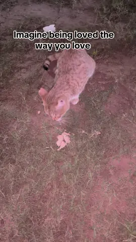 🤍#fypシ #trending 