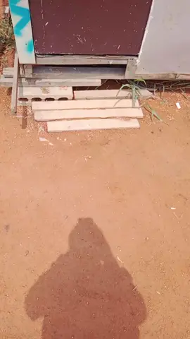 budak tak tidur malam,,halo sayangggggg🤣🤣🤣