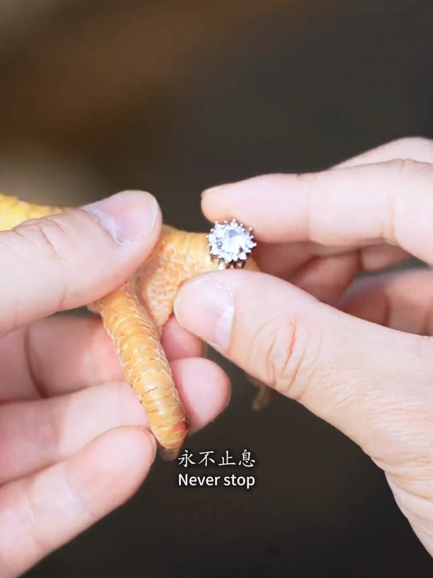 Phần 2 : 1 tình yêu đẹp của Hot Tiktok Douyin #douyin