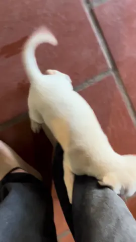 Tôi khi gặp mấy ẻm dễ thương kiểu 😍😍😍