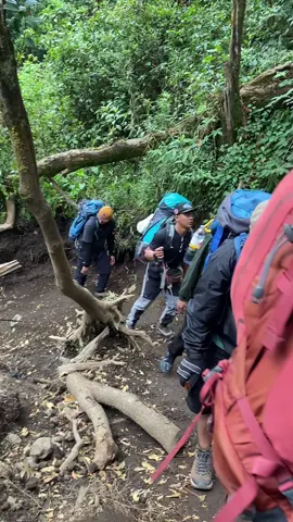 Macet-macetan dijalan raya❌  Macet-macetan di pos 3-4✅ 🥵  Tanggal 27 juni 2025 @RijalIlham  #gununggedepangrango #gununggedeviaputeri #gununggede #gununggede2958mdpl #alunalunsuryakencana 
