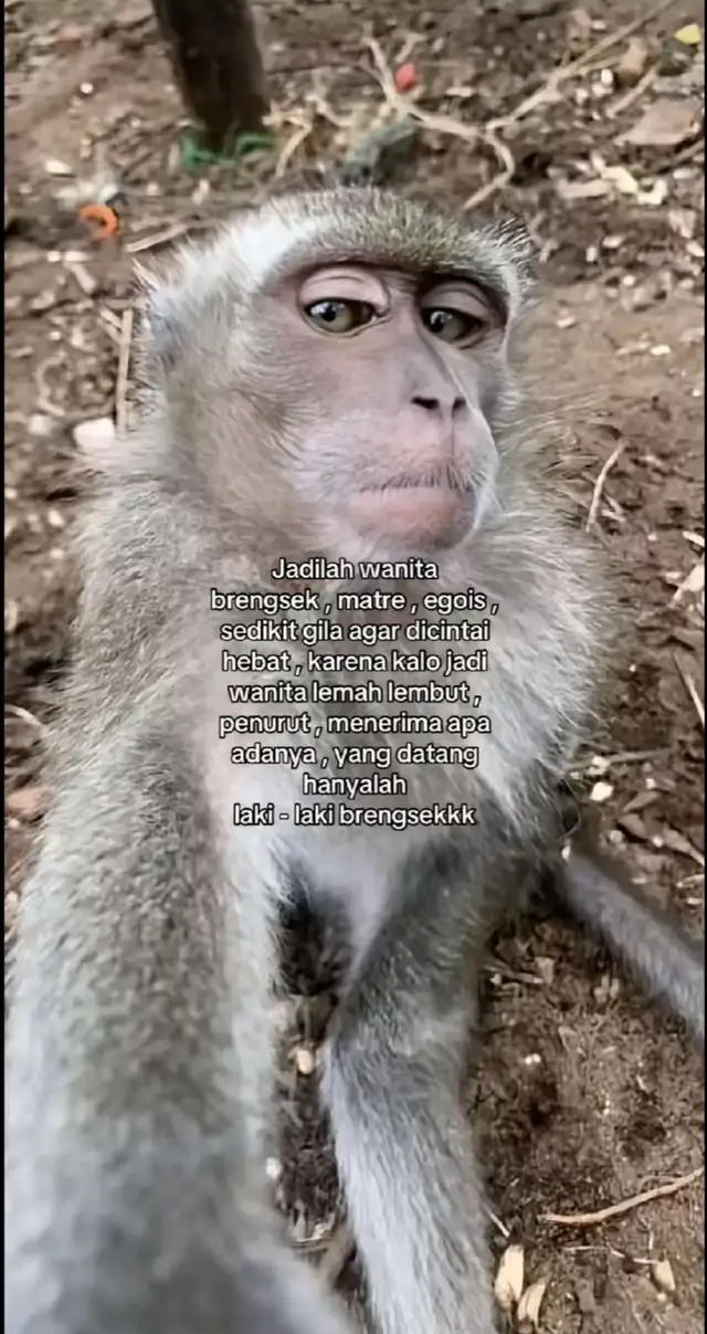 #Fyppppppppppppppp #lombikviral🌴 