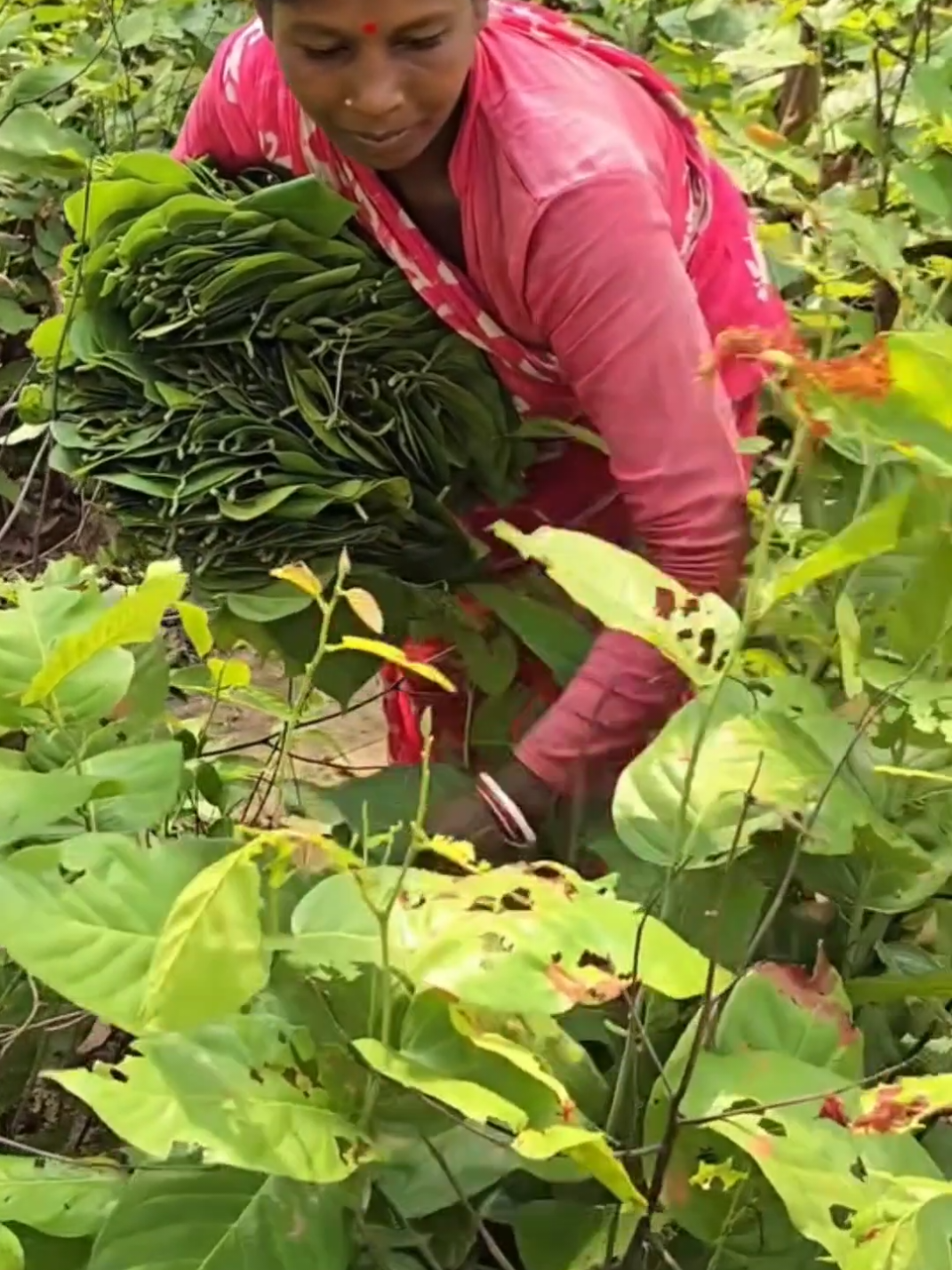 No creerán la creatividad de estás mujeres #india #reciclar #greenscreenvideo #creatividad #hogar 
