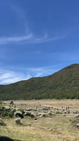 enak banget ngadem di surken cuy😁 #alunalunsuryakencana #gedepangrango #gununggede2958mdpl #creatorsearchinsights #basecampgununggede 