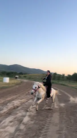 @🐎ALASH_HORSE🐎 #рекомендации #реки #лошади #horse 