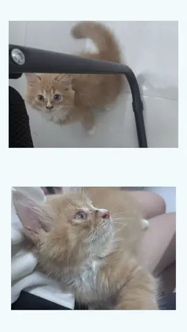 Mê ẻm ghê á 🥰 #xuhuong #viral #capcut #bebonggg 