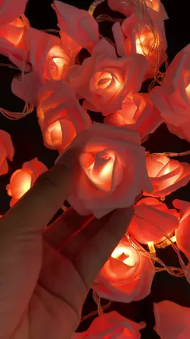 3/6M led rose flower string lights #roseflowerlightslamp #valentinesgiftideas #partydecoration #fairylights #anniversarydecoration #artificialflowers #fyp #flower #viral #tiktok #trending 