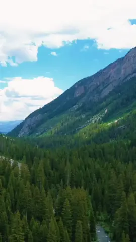 Respond:@lemontd.v1  #tiktok #fpy #fpyシ #foryou #foryoupage #tag #4you #4 #xyzbca #parati #fyp 