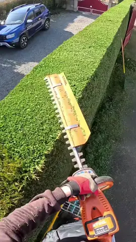 #garden #gardening #clean #cleaning #asmr #fyp 