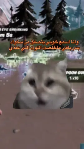 اصدق شي😂😂#فلانسو #رياكشن #فورتنايت #تيم #بث #بسه #لوت #موارد #سكواد 