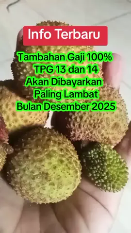 Tetap semangat ya bapak ibu guru hebat, terus berkarya, naikkan kualitas diri supaya Pembenci tambah Seperti cacing kepanasan🥰 #bismillahfyp #jangakauanluas #sertifikasicair #TW2 #gurusd #ppgdaljab 