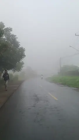 Mataloko dan Kabutnya yang Tebal #Mataloko #Bajawa #KemahTaborMataloko #Bajawa #Ngada #Flores #NTT #KabutMataloko #Kakagg #Jurnalistik 