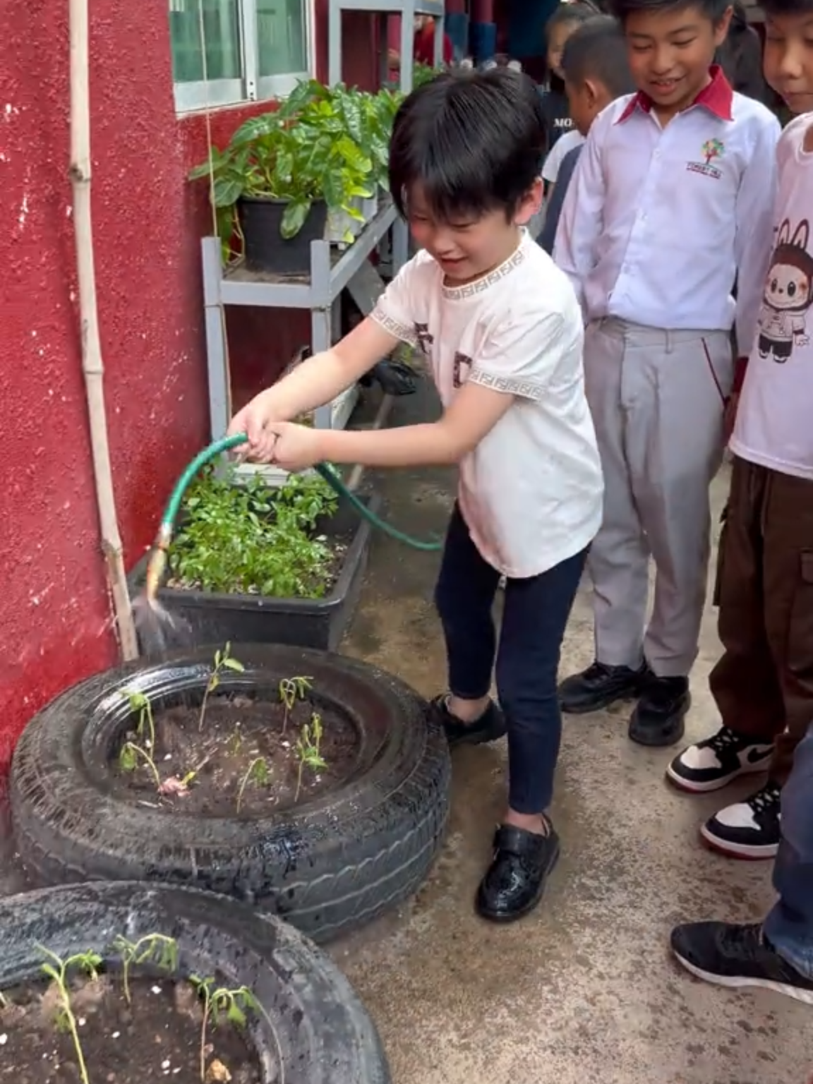 Summer Quest-Gardening #foresthillinternationalschool #summerquest