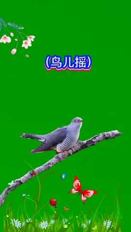 🎧 | 鸟儿摇 DJ | @𝙋𝙖𝙙 𝙈𝙪𝙨𝙞𝙘 𝙏𝙚𝙖𝙢 ♪ #鸟儿摇 #Djpw #Djpad #Flstudio #Ableton #Producer #musicproduction 