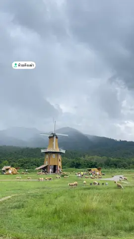 น้องแกะ 🐑🐑  #ห้วยตึงเฒ่าเชียงใหม่ #เชียงใหม่ #ที่เที่ยวเชียงใหม่ #พิกัดเชียงใหม่ #เที่ยว #แกะ #ธรรมชาติบําบัด #tiktok #fyp #ธรรมชาติ #ฟาร์มแกะ #ห้วยตึงเฒ่า 