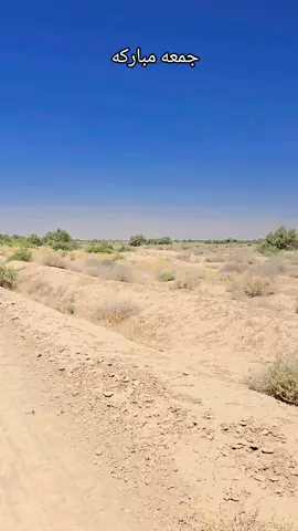 #مكناص_العراق #احلى_متابعين #الموصل #عمرالنقاش #سامراء_مدينه_الامامين_العسكريين #البراري #اترند #تكريت_صلاح_الدين #