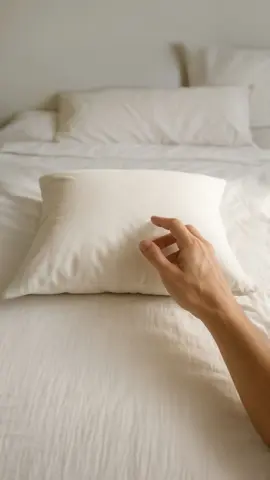 Sweet dreams guaranteed, just don’t move the pillow 🛌 #sleep #bed #spider 